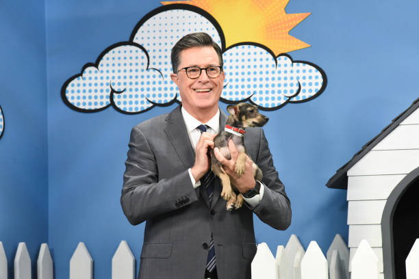 Gallery of Stephen Colbert