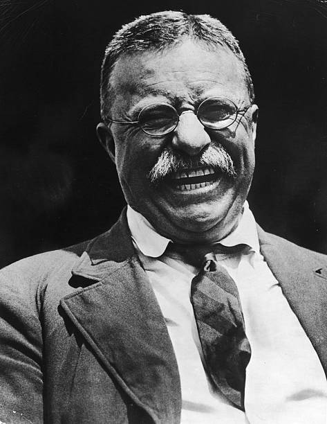 Gallery of Theodore Roosevelt