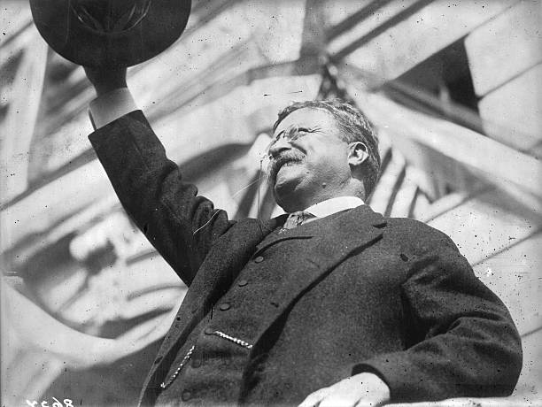 Gallery of Theodore Roosevelt
