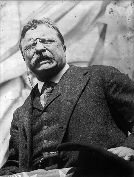 Gallery of Theodore Roosevelt