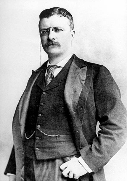 Gallery of Theodore Roosevelt