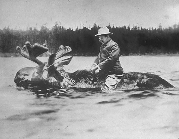 Gallery of Theodore Roosevelt