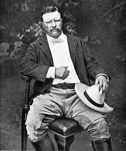 Gallery of Theodore Roosevelt