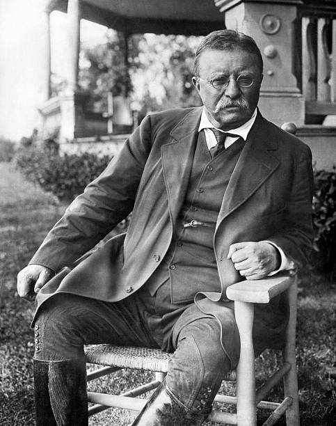 Gallery of Theodore Roosevelt