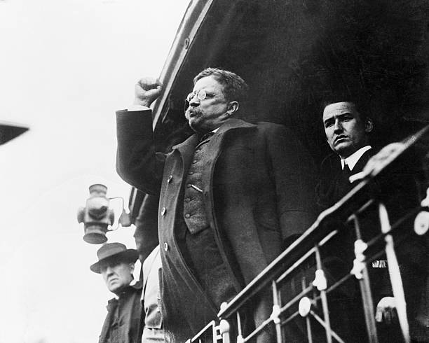 Gallery of Theodore Roosevelt