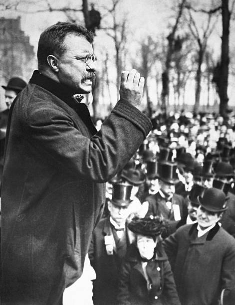 Gallery of Theodore Roosevelt