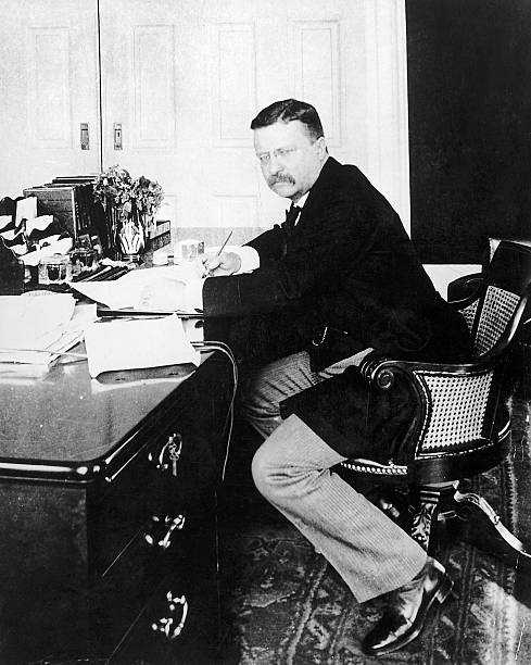 Gallery of Theodore Roosevelt