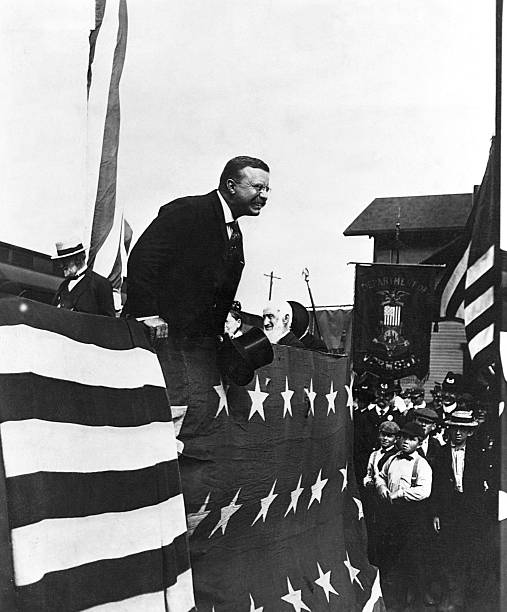Gallery of Theodore Roosevelt