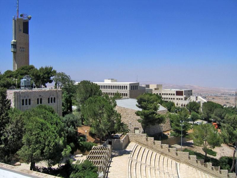 Gallery of Meir Shalev