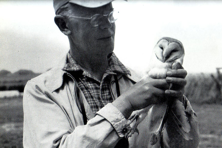 colleague: Guy Mountfort