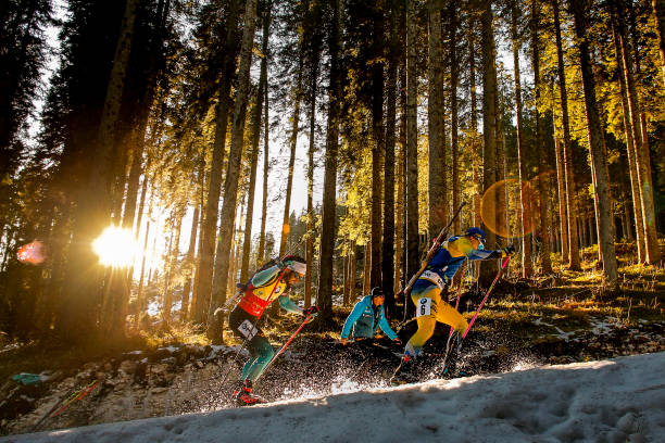 Gallery of Martin Fourcade