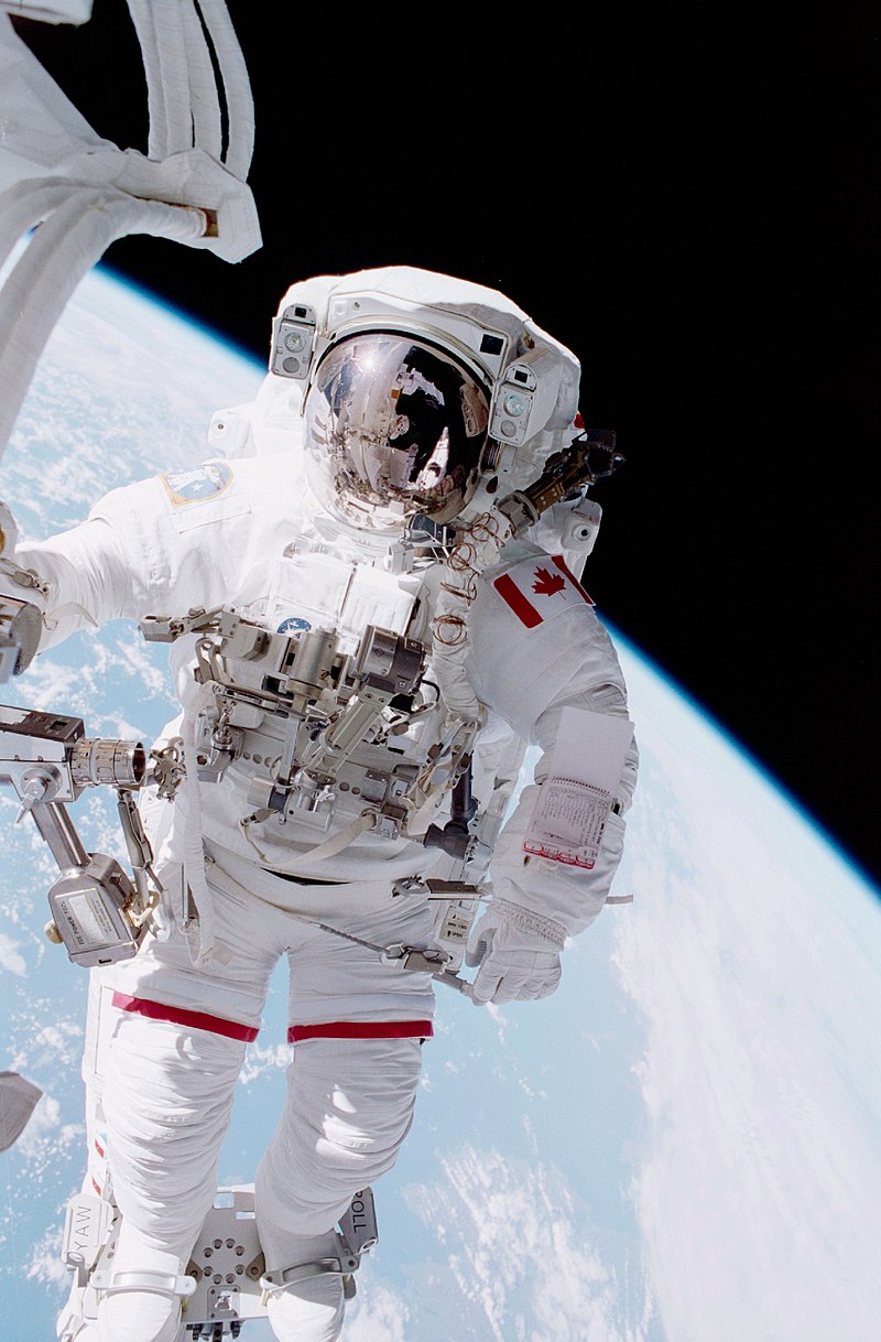 Gallery of Chris Hadfield