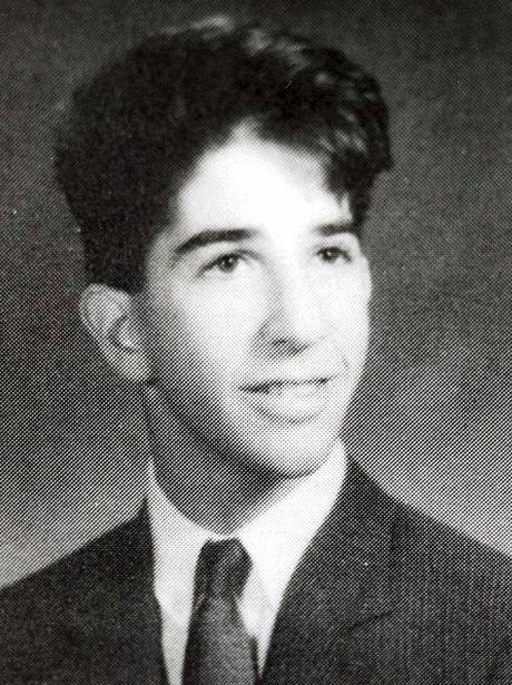Gallery of David Schwimmer