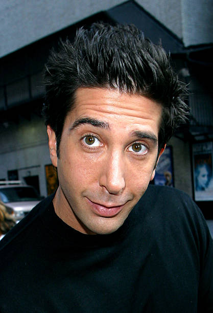 Gallery of David Schwimmer