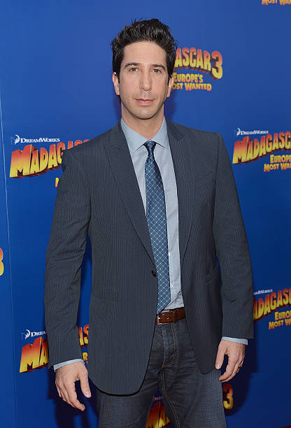 Gallery of David Schwimmer