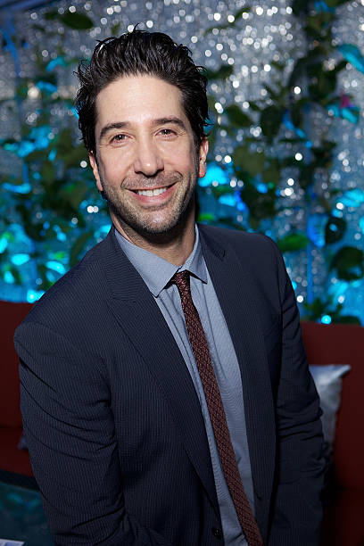 Gallery of David Schwimmer