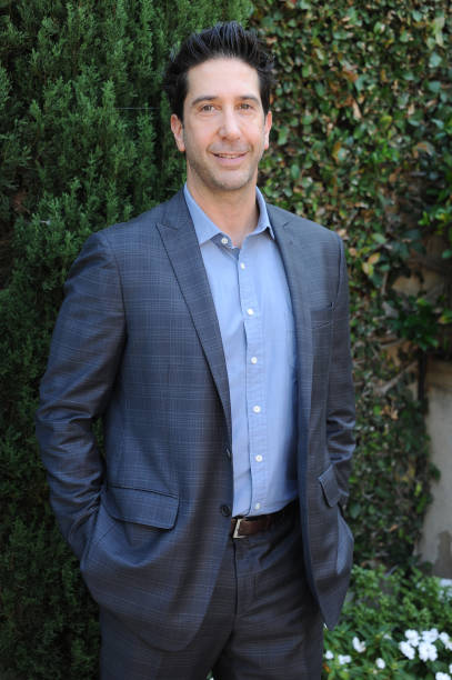 Gallery of David Schwimmer