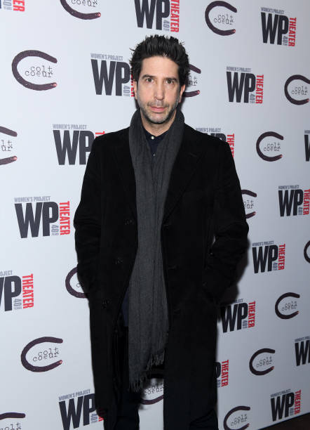 Gallery of David Schwimmer