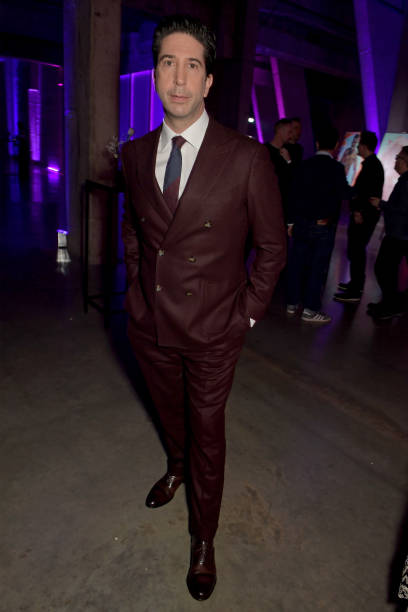Gallery of David Schwimmer
