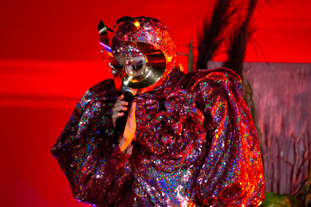 Gallery of Björk Guðmundsdóttir