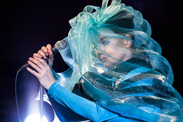 Gallery of Björk Guðmundsdóttir