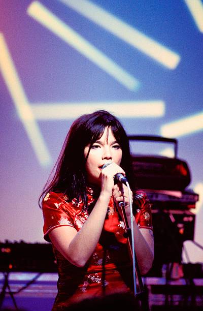 Gallery of Björk Guðmundsdóttir