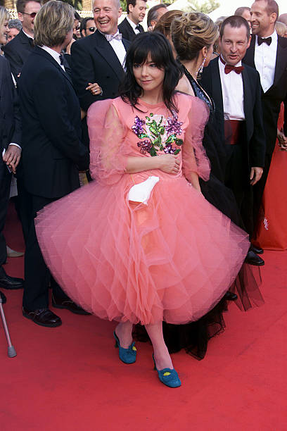Gallery of Björk Guðmundsdóttir