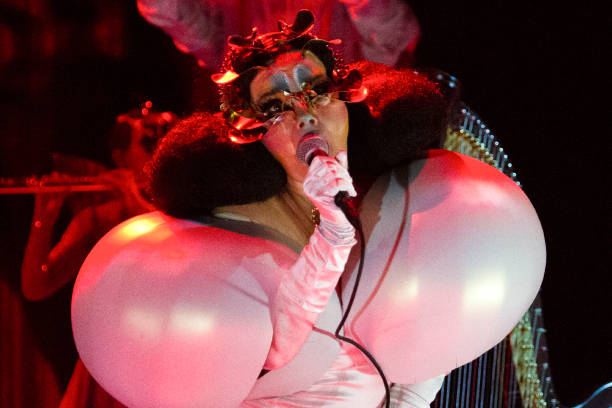 Gallery of Björk Guðmundsdóttir
