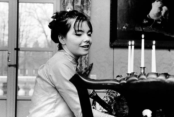 Gallery of Björk Guðmundsdóttir