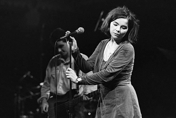 Gallery of Björk Guðmundsdóttir