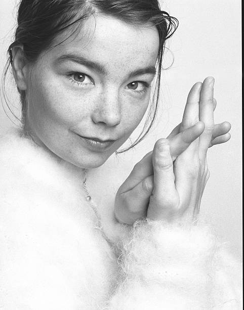 Gallery of Björk Guðmundsdóttir