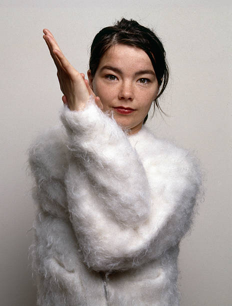 Gallery of Björk Guðmundsdóttir