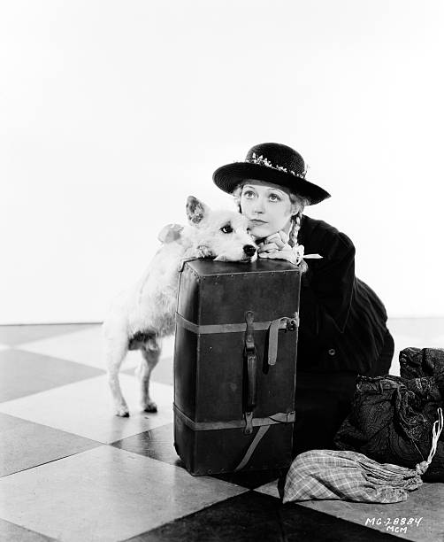 Gallery of Marion Davies