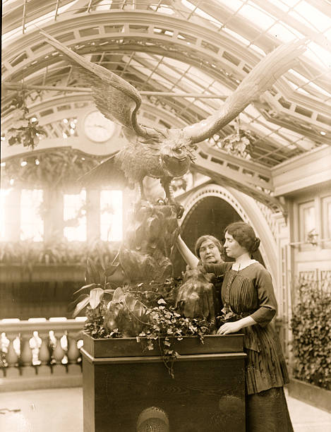 Gallery of Helen Keller