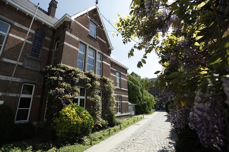 Education period of Stephen Happel in Institute of Philosophy, KU Leuven