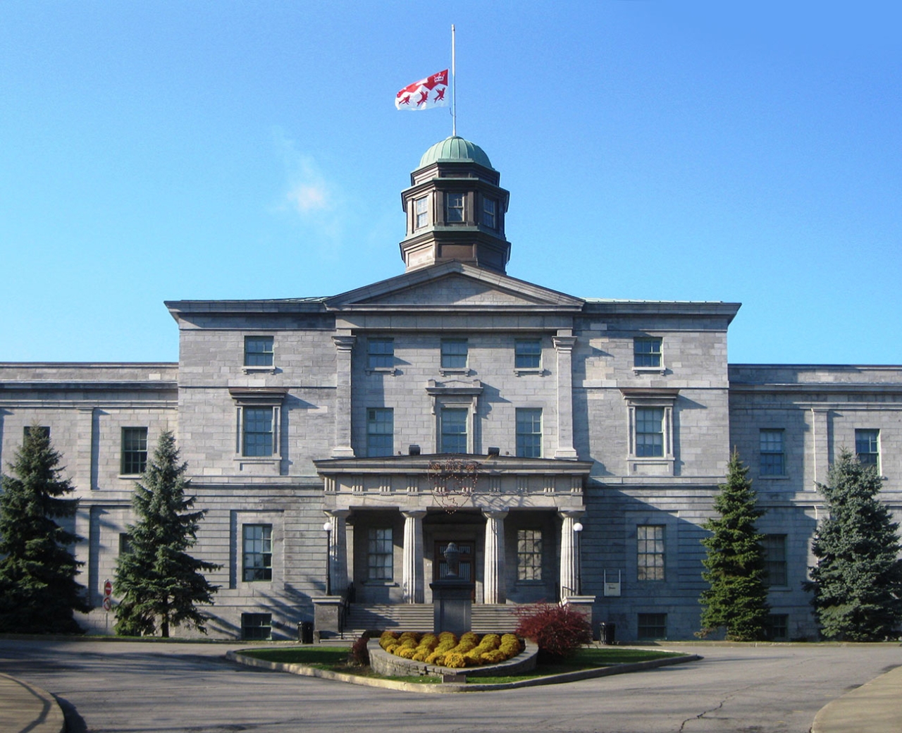 Gallery of Frank Mackey