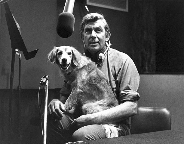 Gallery of Andy Griffith