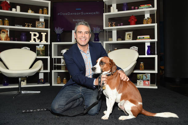 Gallery of Andy Cohen