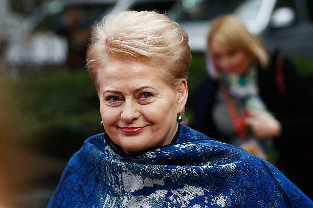 Gallery of Dalia Grybauskaitė