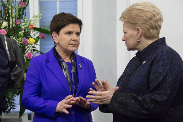 Gallery of Dalia Grybauskaitė