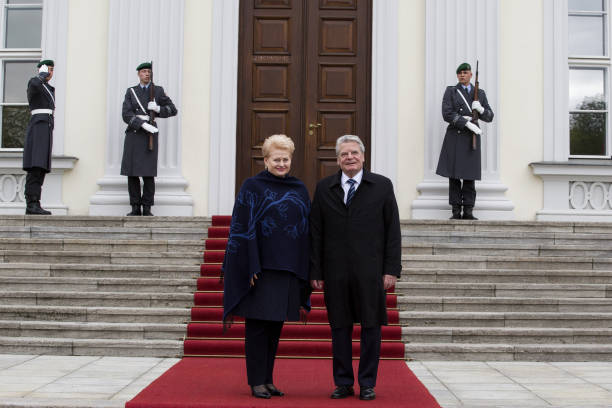 Gallery of Dalia Grybauskaitė