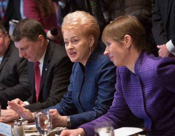 Gallery of Dalia Grybauskaitė