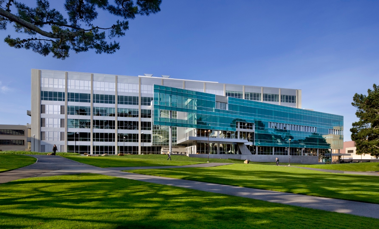 Education period of Irene Poon in San Francisco State College