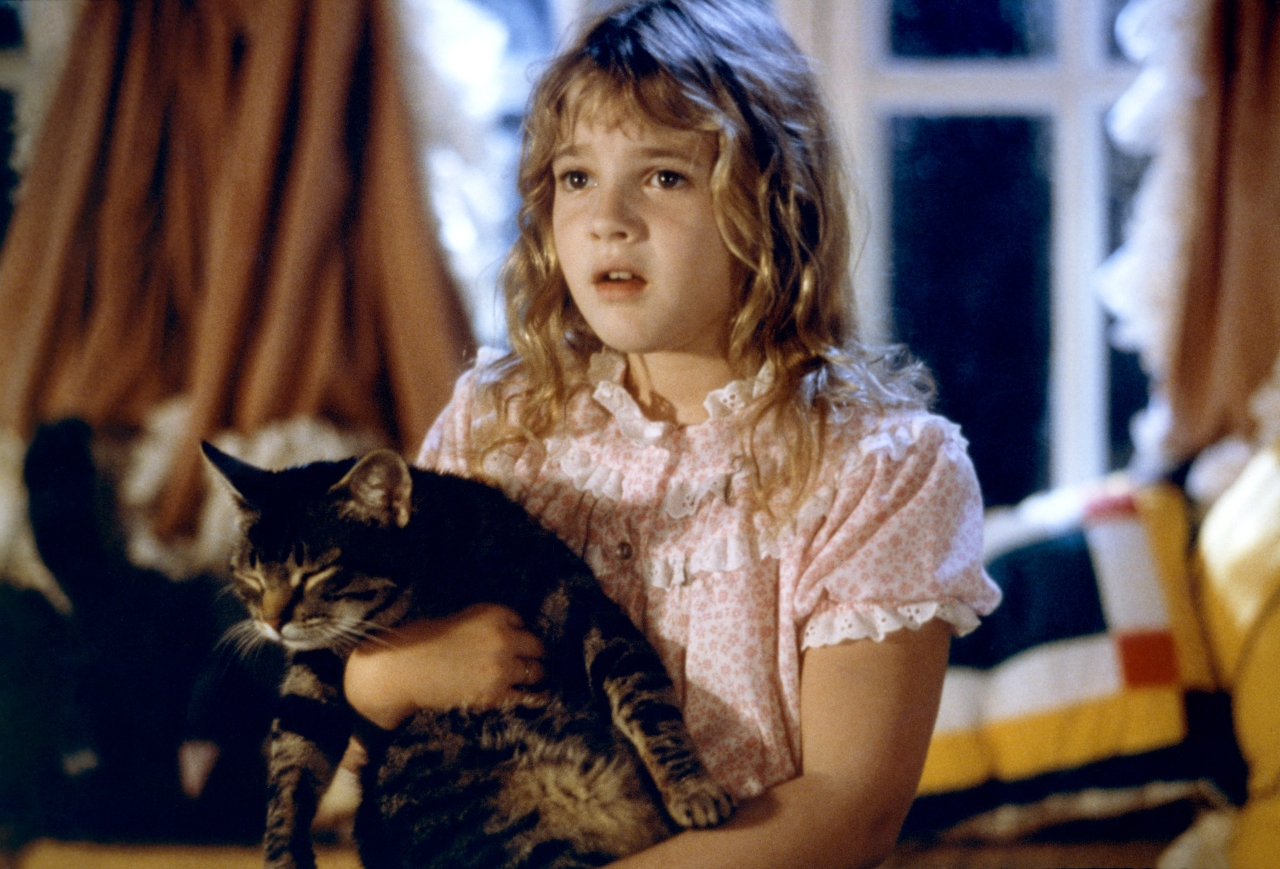 Gallery of Drew Barrymore