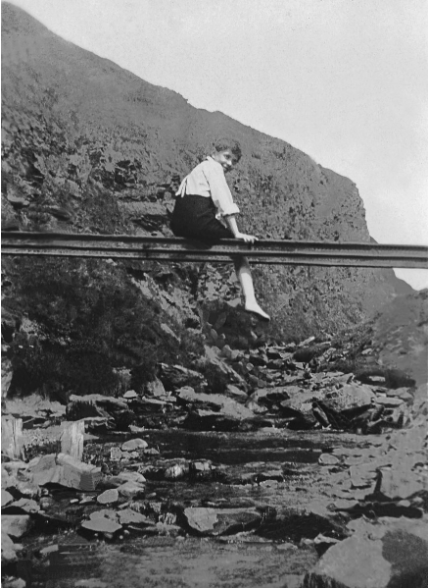 Gallery of Fred Hoyle