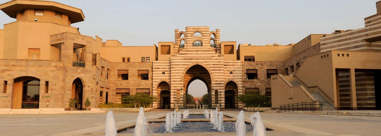 Gallery of Mohammed El-Nawawy