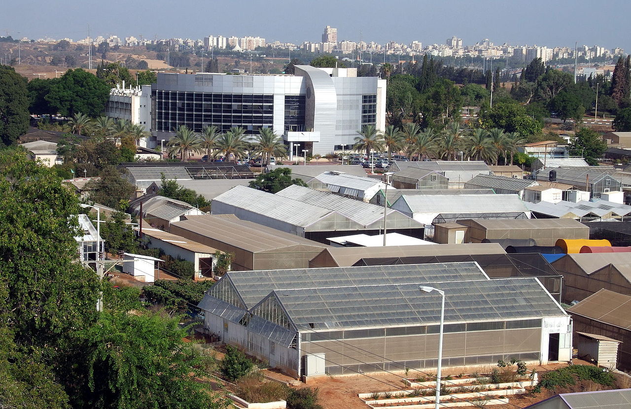 Gallery of Yitzchak Arnon