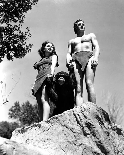 Gallery of Johnny Weissmuller