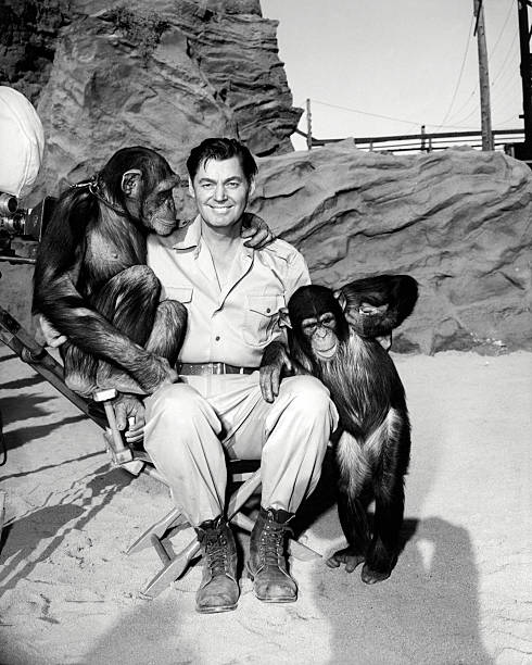 Gallery of Johnny Weissmuller