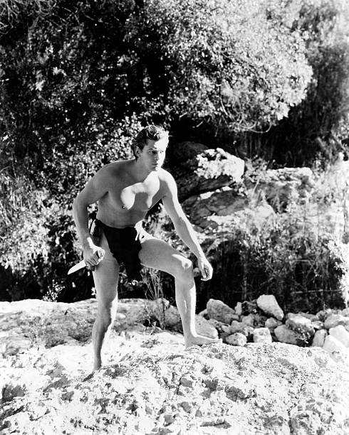 Gallery of Johnny Weissmuller